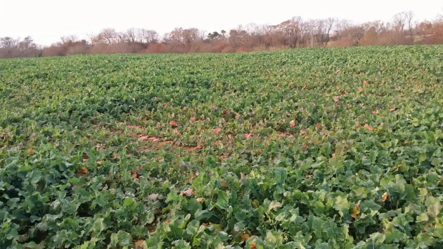 La Barbacane Vente Propriete De Prestige A Doazit Realisation 7